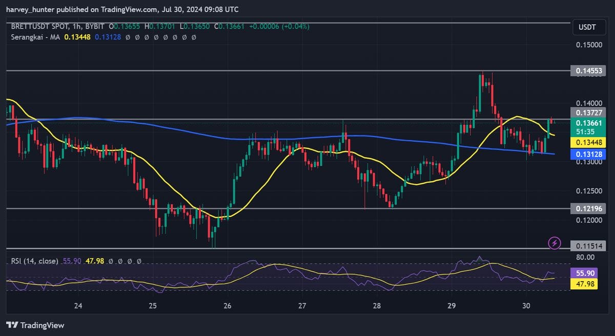 Brett price chart with technical analysis. Source: Binance.