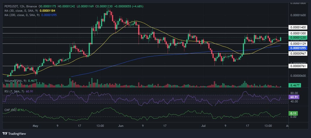 Pepe price chart with technical analysis. Source: Binance. 