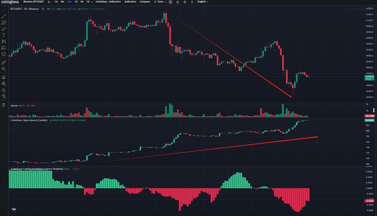 Bitcoin price declines as OI increases. Source: CoinGlass.