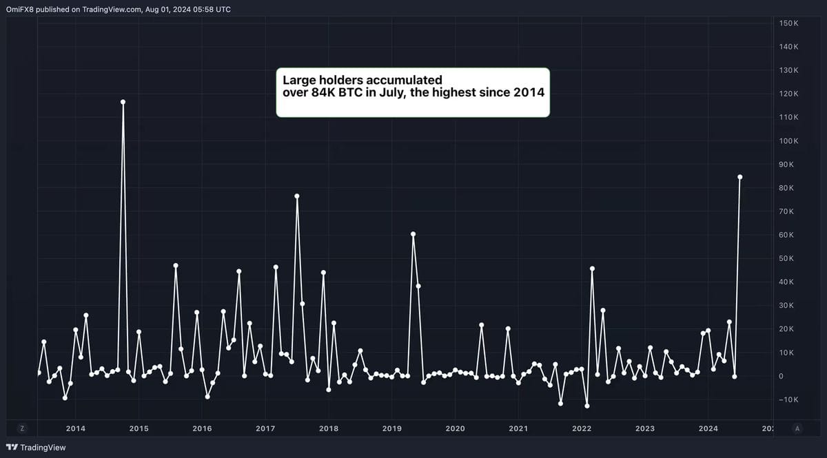 Large Bitcoin holder monthly accumulation. Source: IntoTheBlock, Trading View.