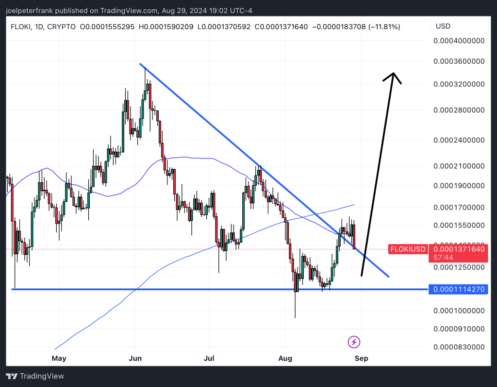 Is the FLOKI Price Primed For Another Surge?