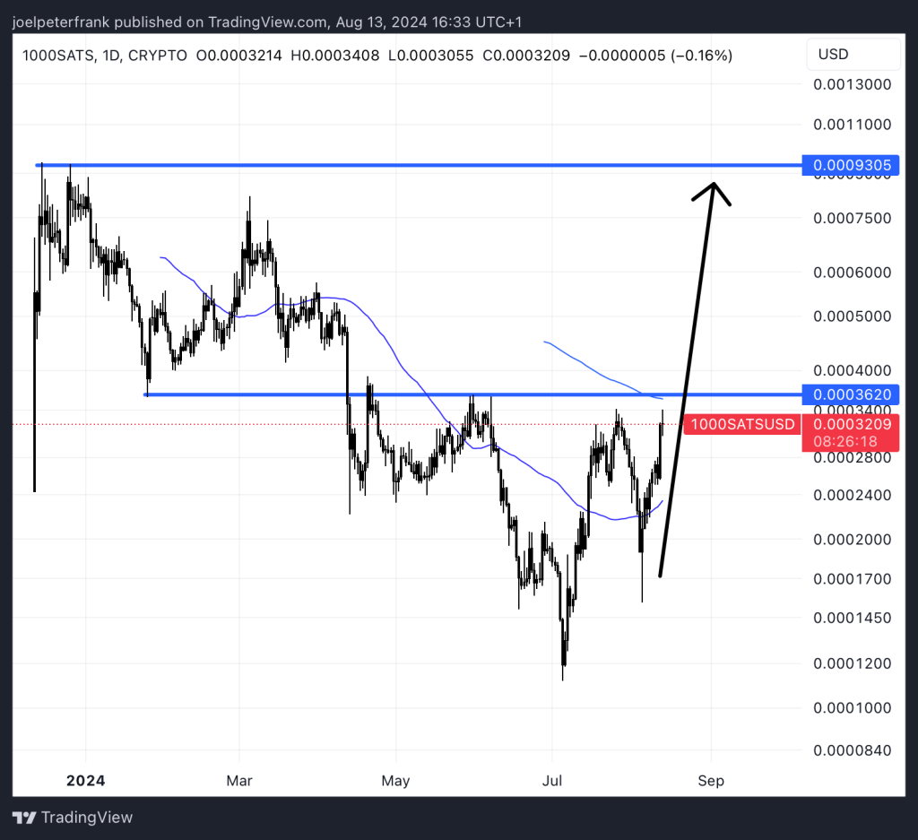 Top Crypto Performers Today - 1000SATS, Maker, Akash Network