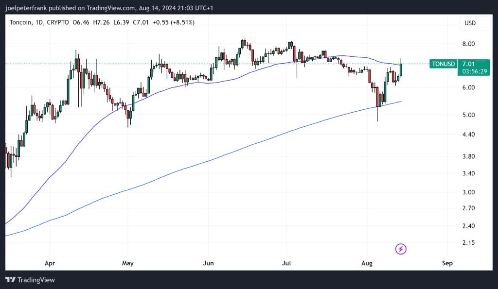 Top Crypto Performers Today August 14 – Toncoin, Aave, Notcoin