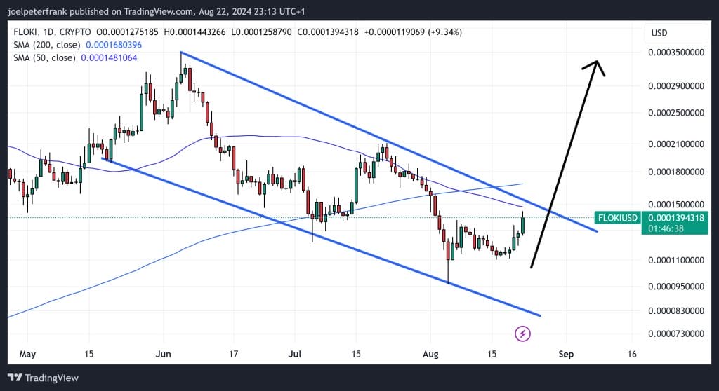 Top Crypto Performers Today – Floki, Immutable, Flare