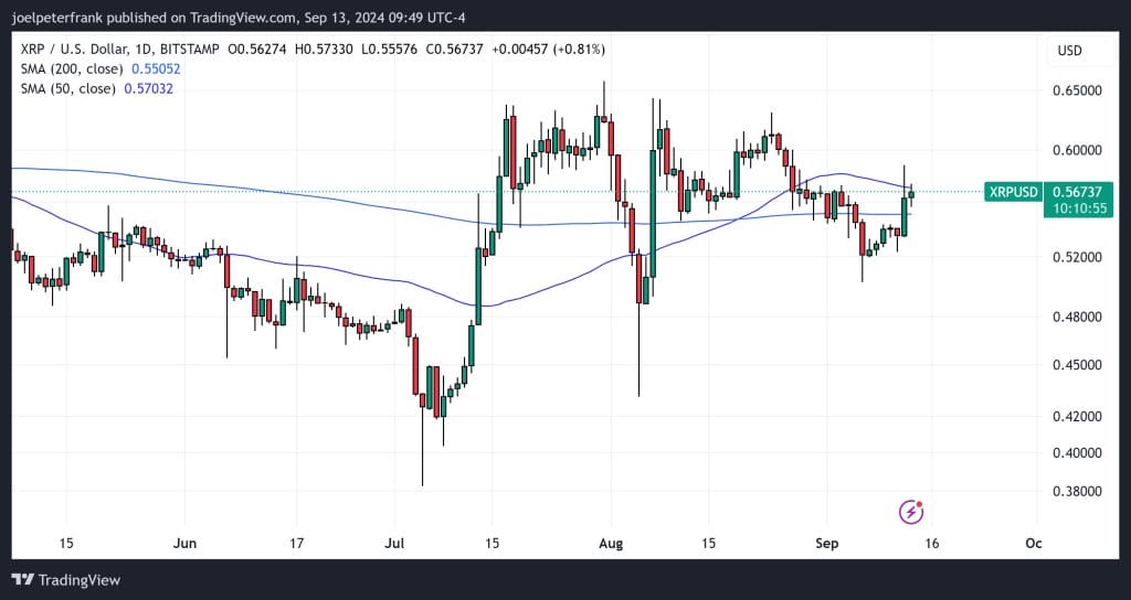 XRP Holders Are Betting on This New ICO