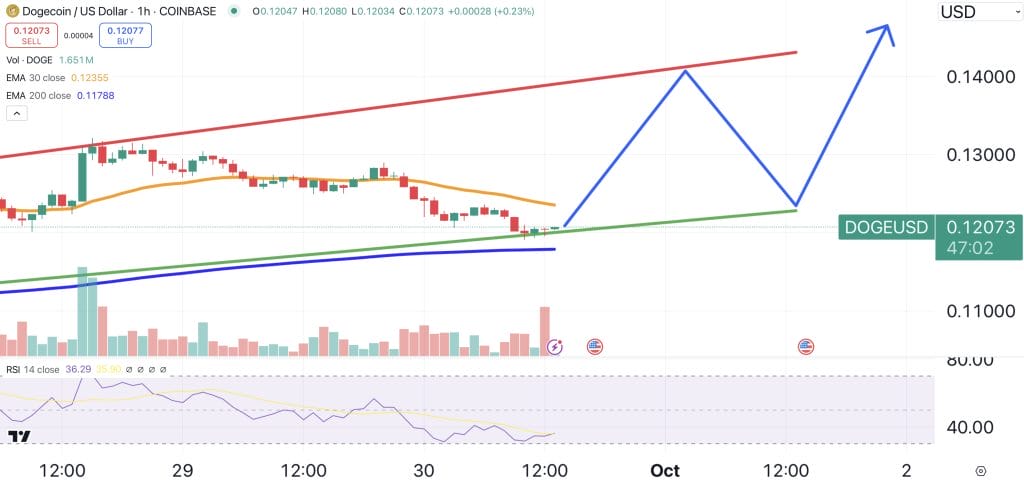 Dogecoin price chart.