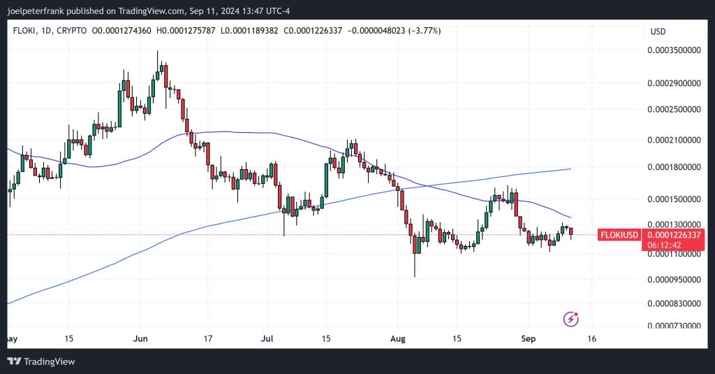 FLOKI Coin Price: Simon’s Cat Airdrop Gives Investors a New Boost 