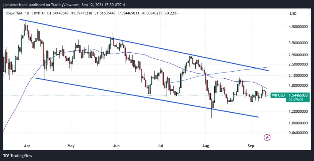 Is Dogwifhat Coin in Trouble? 