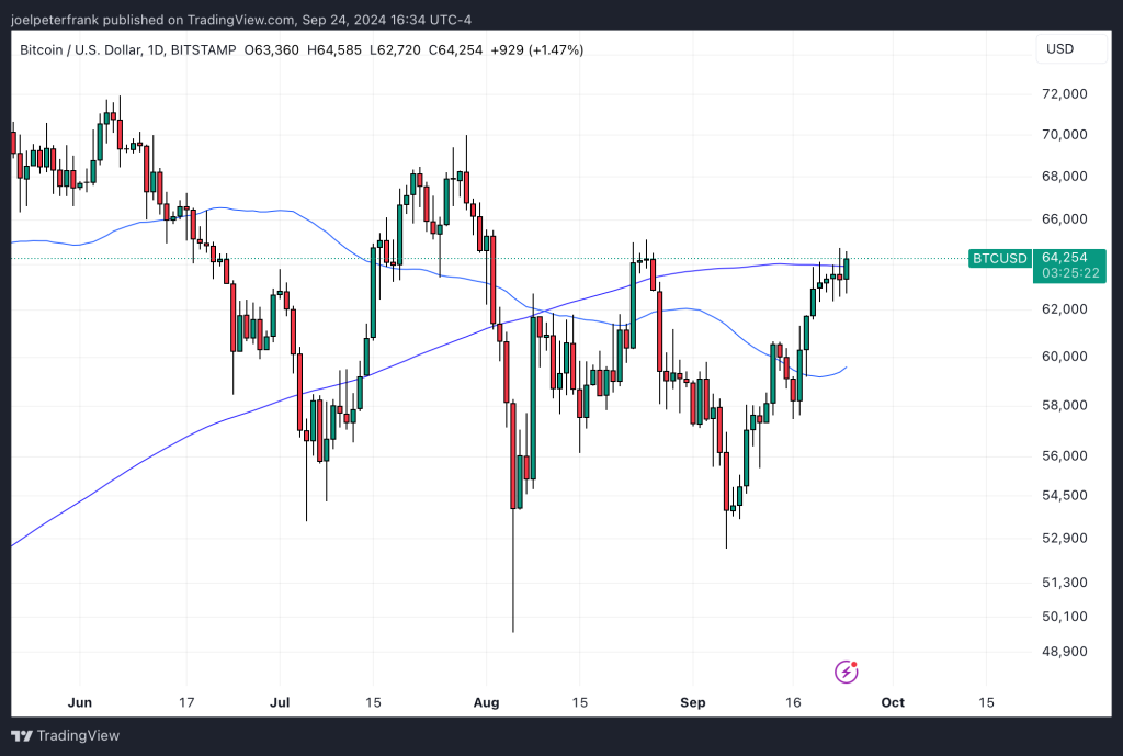 Top Crypto Gainers Today