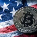 16% of Voters Prioritize Pro-Crypto Candidates: Digital Chamber Survey