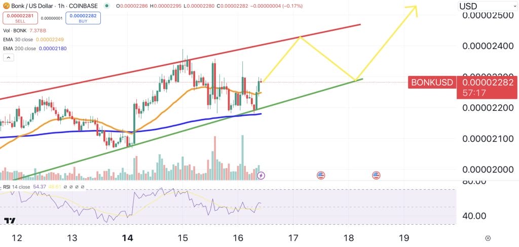 BONK price chart.