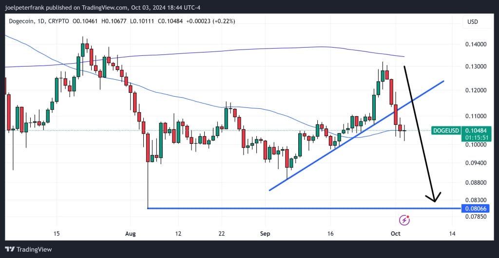 Dogecoin Price Analysis: Musk’s DOGE Gains Traction in Retail Stores 