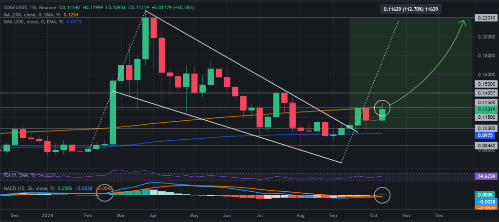 DOGE / USDT 1W price chart, multi-month wedge flag pattern breakout. Source: Binance.