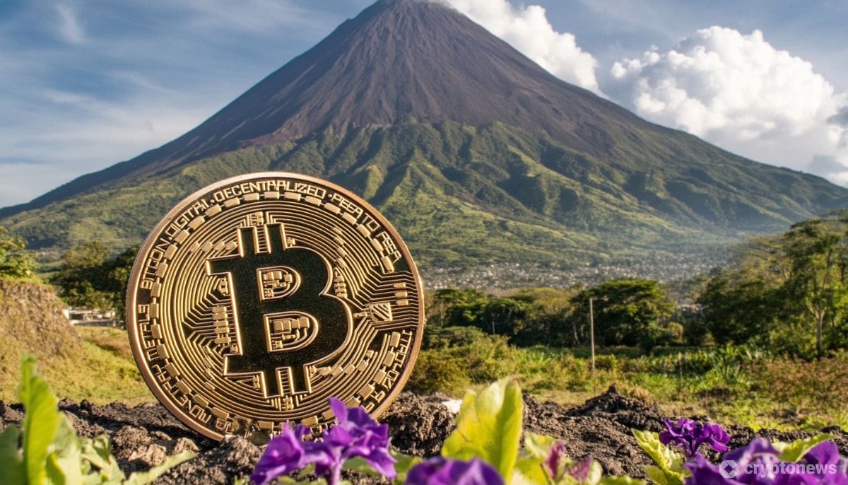 El Salvador Survey: Only 7.5% of Citizens Use Bitcoin