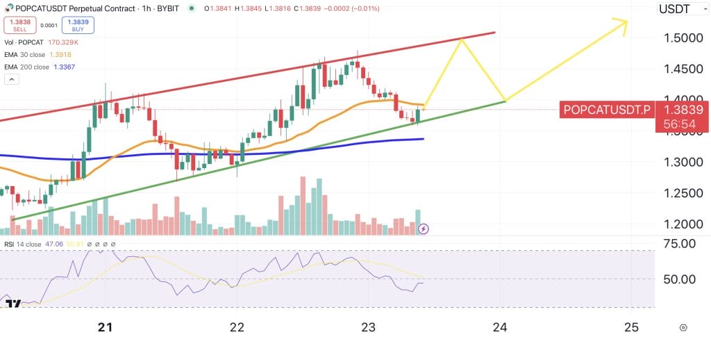 POPCAT price chart.