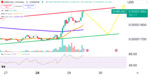 SHIB Set for Surge? New Shiboshi Updates Spark Investor Optimism