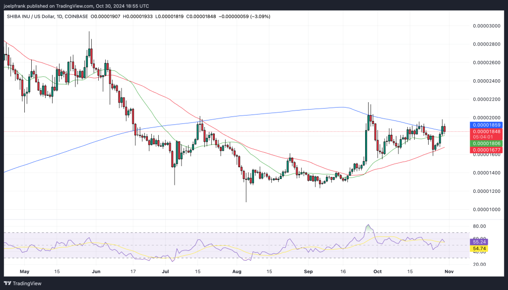 Shiba Inu Investors Turn to a New Chicken Coin