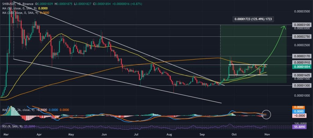 SHIB / USDT 1D chart, consolidation. Source: Binance.