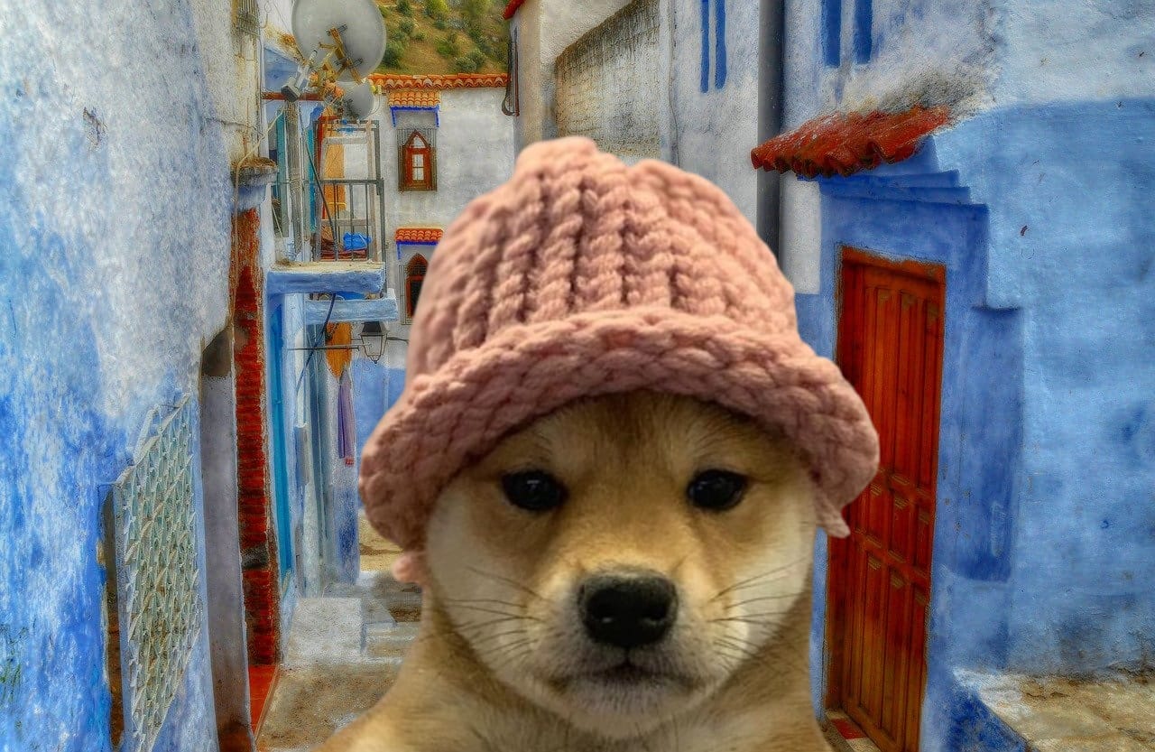 dogwifhat