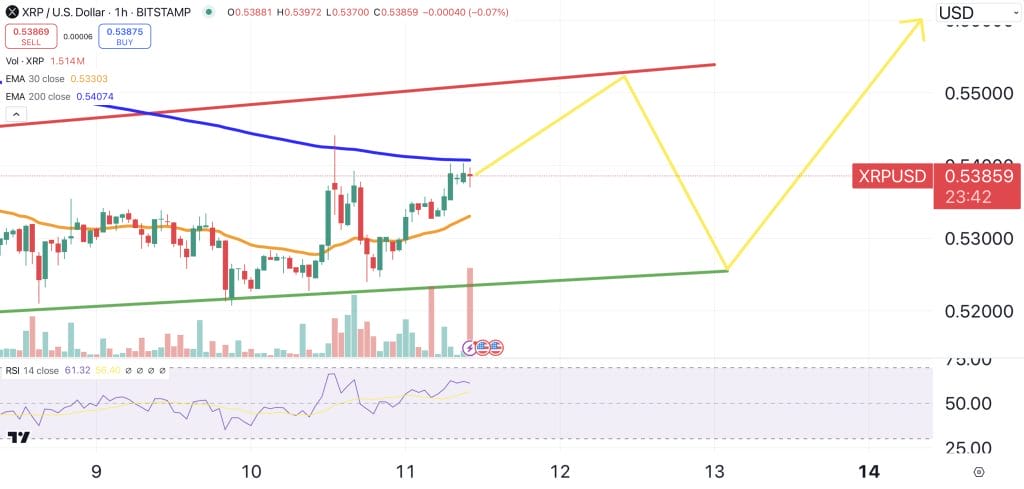 XRP price chart and indicators.