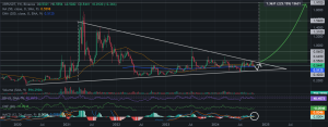 XRP Price Analysis: Ripple CLO Shares Key Updates in SEC Appeal – Will This Boost XRP?