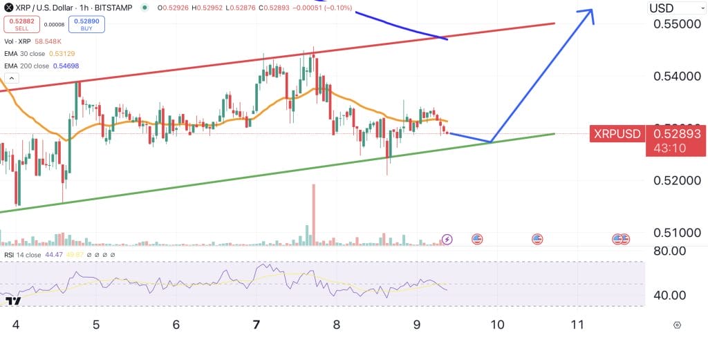 XRP price chart.