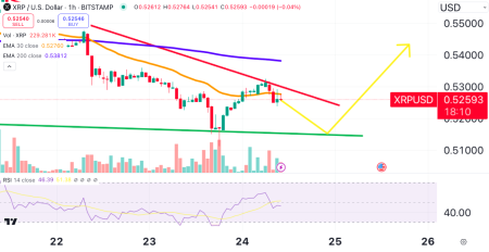 XRP Price Surges ‘14,134%’ in Freak Liquidation Event – What Happened?