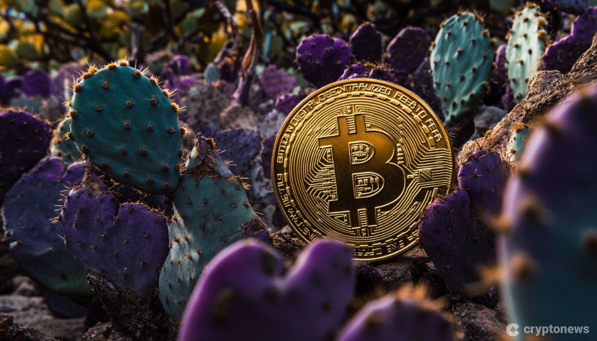 ‘3,000’ Mexicans Affected in Suspected Crypto Trading Bot Scam