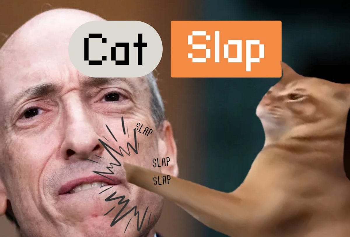 catslap token gary gensler