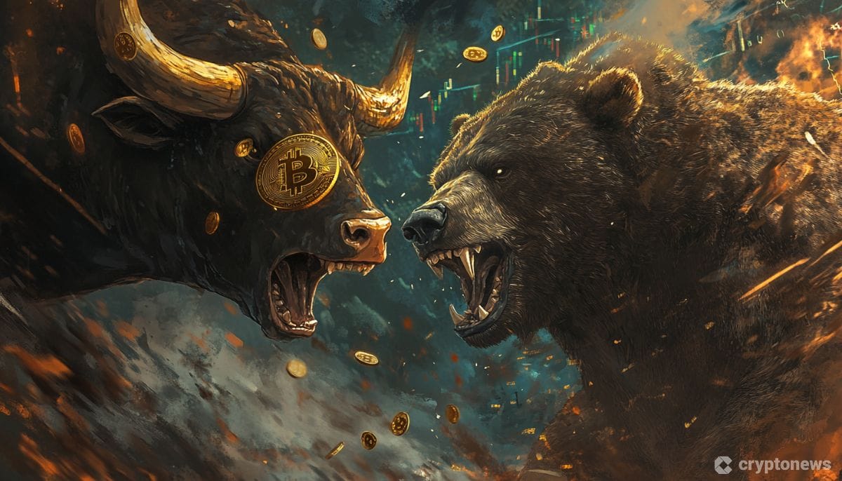 bitcoin bull rally vs bear pullback