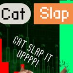 CHILLGUY Price Pumps But its Legal Dispute Means Newer Meme Coin Catslap (SLAP) is a Better Buy, Up 51% Today 