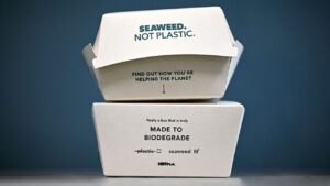 Could seaweed replace plastic packaging?