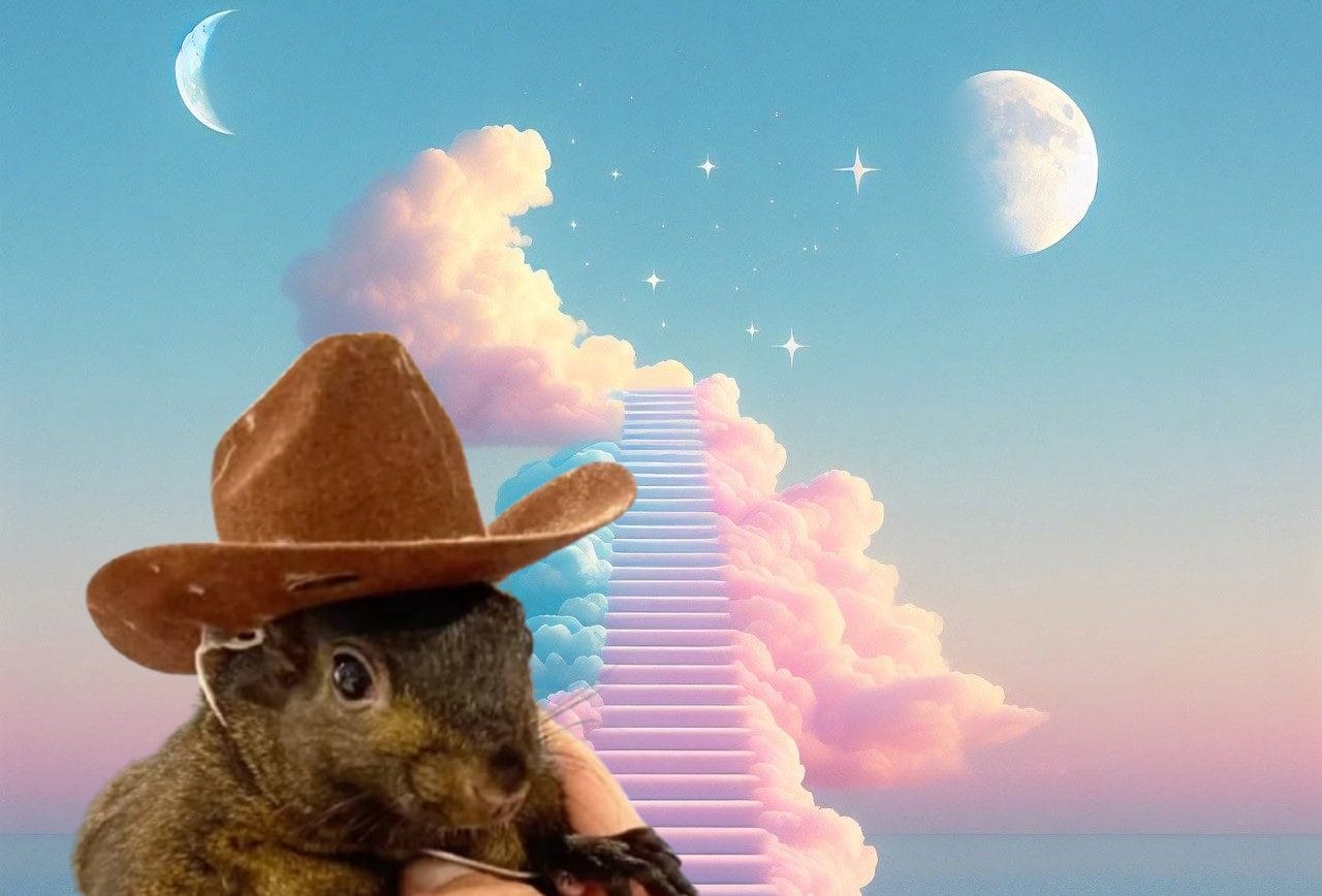 Peanut the Squirrel might be down and out, PNUT price is sinking, and PNUT crypto holders are rotating to Pepe Unchained.