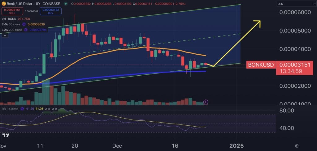 BONK price chart.