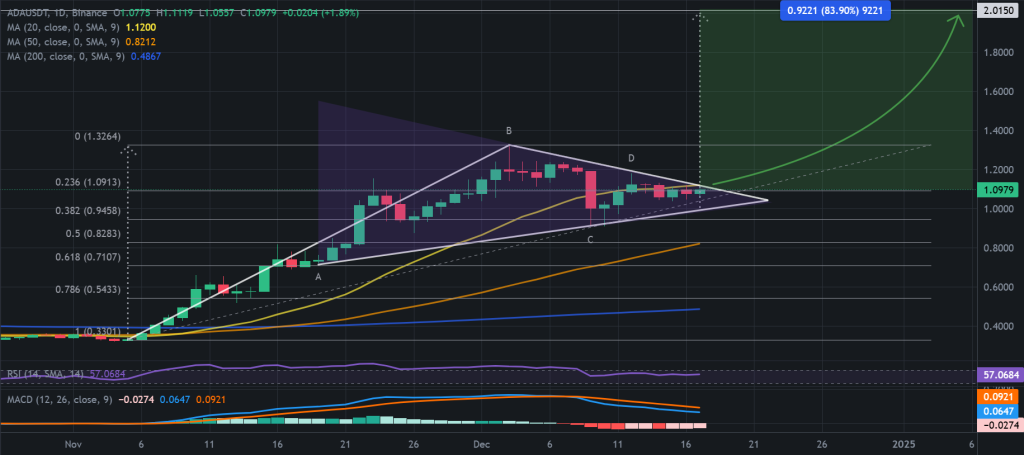 ADA / USDT 1D chart, bullish pennant pattern. Source: Binance. 