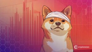 Shiba Inu Faces a Massive 35 Trillion $SHIB Imbalance – Is a Crash Coming? 