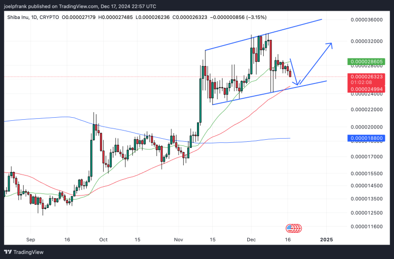 Shiba Inu Price Slumps, Eyes This Key Support Zone – Is Its Run Over?