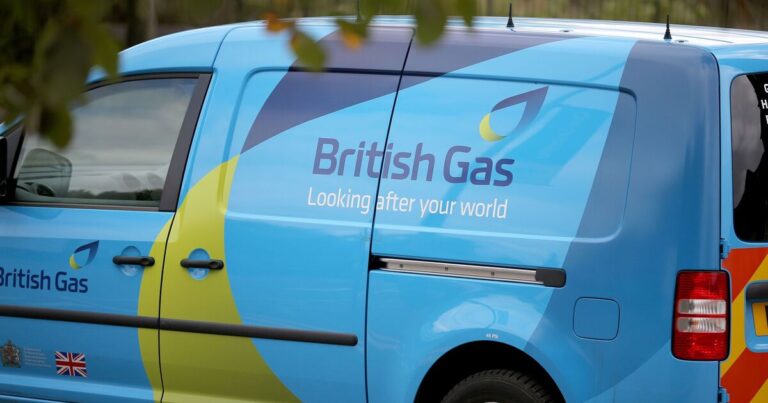 British Gas, Octopus, OVO and EON customers urged to check for automatic £150