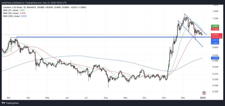 Cardano Price At Risk of Further Downside, But Could It Recover in 2025?