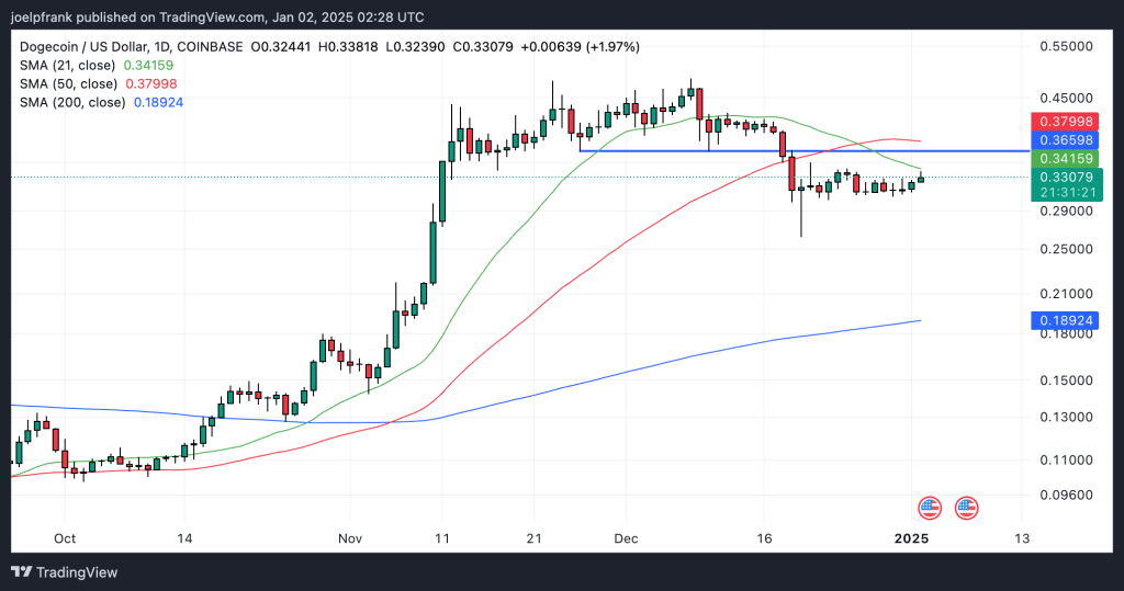 Dogecoin Price Hits ‘Rock Solid’ Support – $1 Surge Incoming?