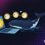 Is Dogecoin Price About to Crash? Whale Sends 70 Million DOGE to Binance