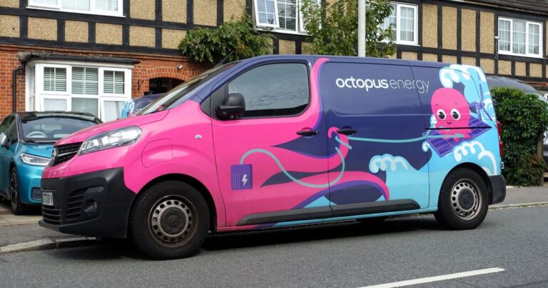 Octopus Energy hands pensioners £200 lifeline after winter fuel axe