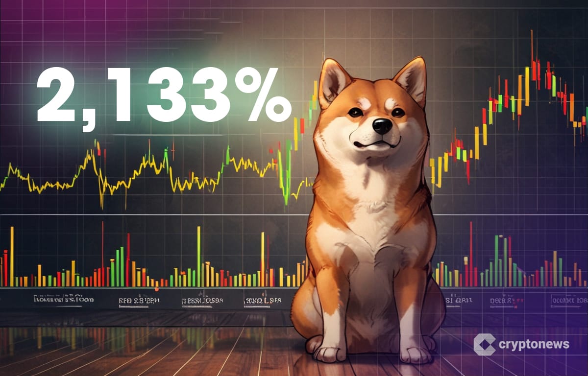 Shiba Inu