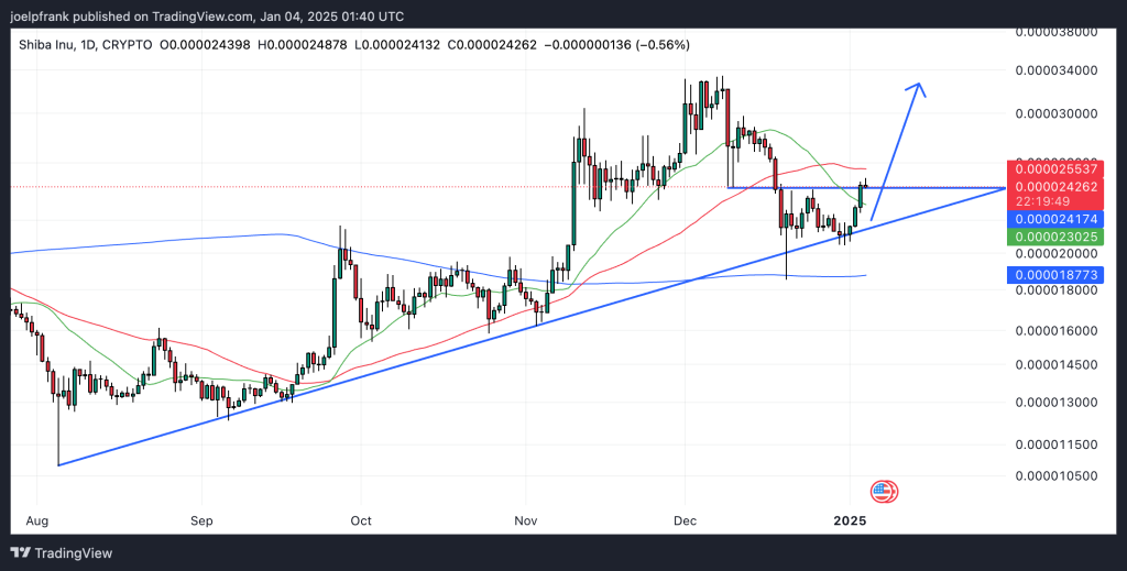 Shiba Inu Whale Snaps Up 220 Billion Tokens 