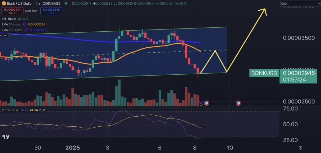 Bonk price chart.