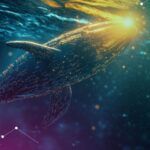 Bitcoin Wallets Decline as Small Traders Exit, Signaling Potential Whale Accumulation