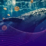 Dubai Plans Move to Reveal Identity of Crypto Whales: Report