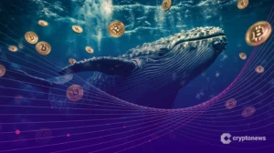 Dubai Plans Move to Reveal Identity of Crypto Whales: Report