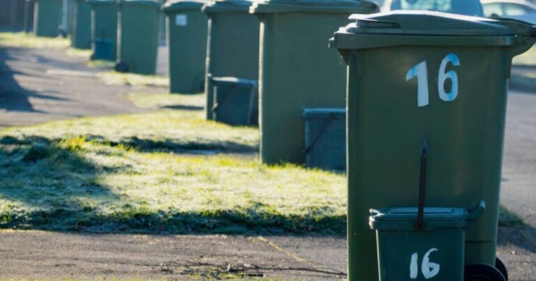 Households warned of £400 fine as councils mull reducing bin collections