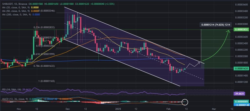 SHIB / USDT 1D chart, descending channel patten. Source: Binance.